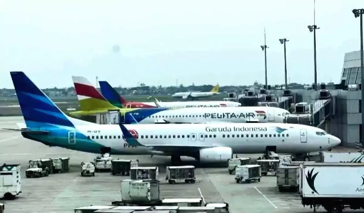 Merger Garuda dan Pelita Air Akan Tingkatkan Efisiensi dan Produktivitas, kata CEO Danantara Merger garuda pelita air