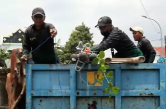 Tianginternetilegal 1