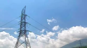 Jaringan sutet kalimantan malaysia