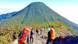 Pendakian gunung gede pangrango ditutup sementara