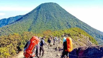 Pendakian gunung gede pangrango ditutup sementara