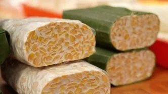 Setelah penantian panjang, tempe resmi didaftarkan ke unesco tahun 2025