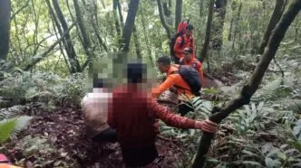 Empat Pendaki Gunung Batukaru Tabanan Dievakuasi Tim SAR Dalam Kondisi Selamat Tim sar berhasil selamatkan empat pendaki asal buleleng di gunung batukaru
