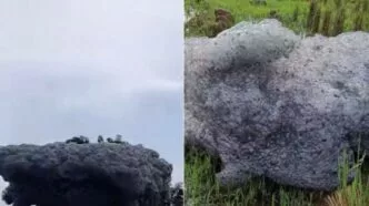 Fenomena busa hitam beterbangan di subang