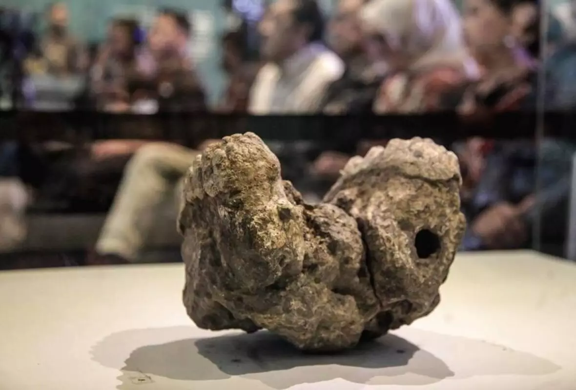 Fosil the java man temuan debois