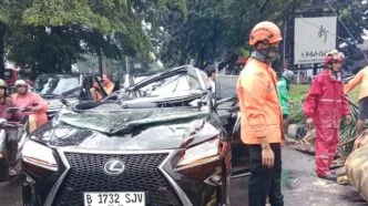 Lexus tertimpa pohon di jaksel