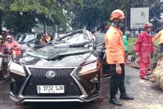 Lexus tertimpa pohon di jaksel