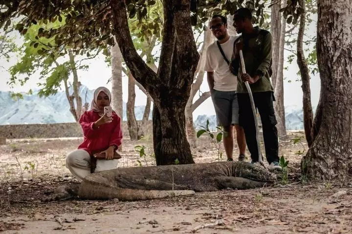 Wisatawan berdekatan dengan komodo