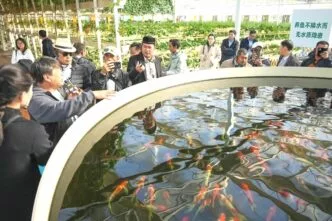 26 Kades Ikuti Pelatihan di China, Program Kader Pedesaan