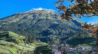 Agrowisata terasering dan udara sejuk di negeri sayur sukomakmur