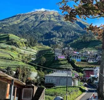 Agrowisata terasering dan udara sejuk di negeri sayur sukomakmur
