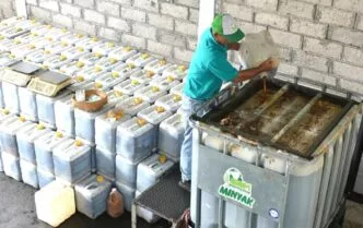 Dari Limbah Dapur Menjadi Bioavtur Minyak Jelantah Indonesia Diminati Singapore Airlines