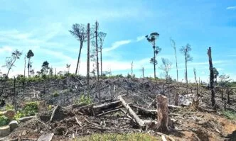 Habit Gajah Sumatera di Bengkulu