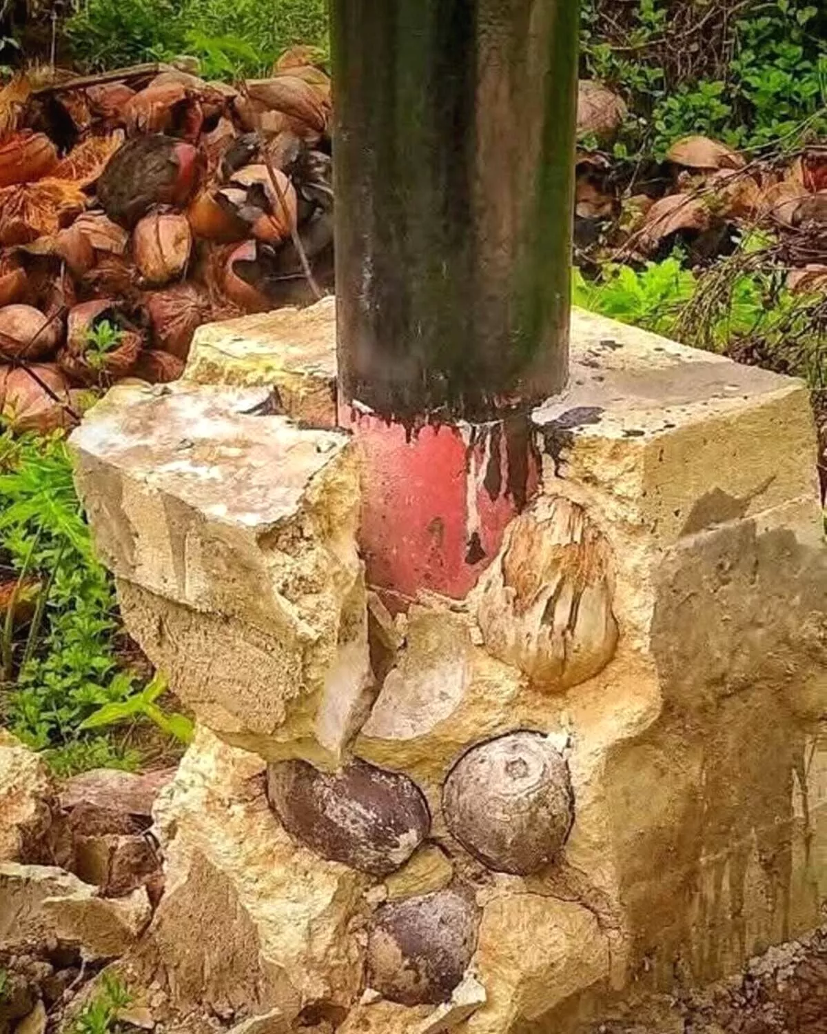 Viral di Media Sosial: Tiang Listrik Sambas Retak, Semen Dicampur Kelapa dan Sabut Tiang Listrik di Sambas Roboh Lebih Cepat, Warga Temukan Kelapa dalam Semen
