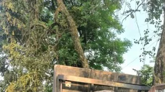 Truk Tangki BBM Meledak dan Hanguskan Sejumlah Kendaraan di Cianjur, Warga Panik Selamatkan Diri Truk bbm tabrak tronton di cianjur, tangki pecah dan kobaran api hanguskan sejumlah kendaraan