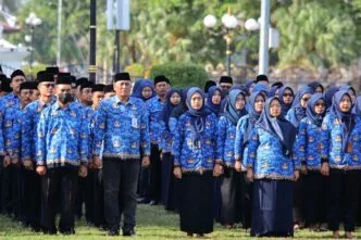 Ilustrasi asn pns pegawai negeri