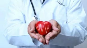 Ilustrasi fungsi sistem jantung manusia