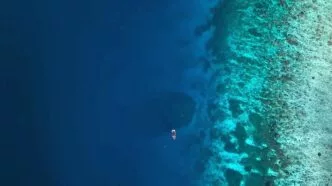 Penampakan mahluk sebesar dua lapangan basket