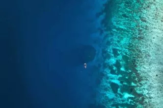 Penampakan mahluk sebesar dua lapangan basket