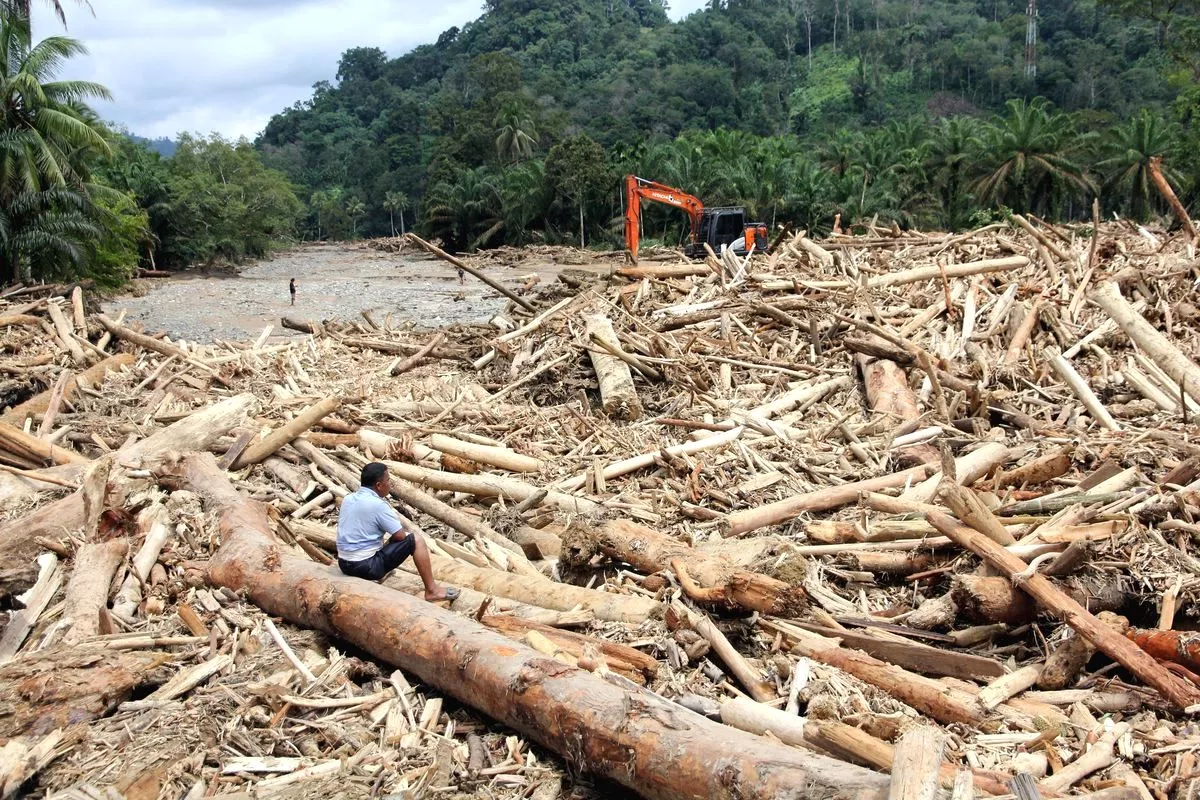 Ribuan batang kayu gelondongan terbawa banjir bandang sumatra