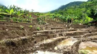Tanah bergerak di sampang kebumen