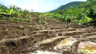 Tanah bergerak di sampang kebumen