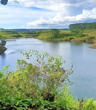 Ancaman Lingkungan Mengintai, 40 Lubang Eks Tambang Batubara di Bengkulu Belum Direklamasi