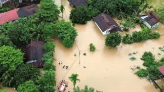 Data Terbaru Korban Meninggal Banjir dan Longsor Sumatera