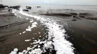 Fenomena Busa Dekat Suramadu Viral, DLH Surabaya Bantah Ada Pencemaran Industri