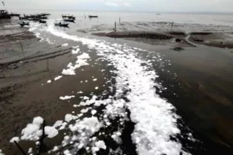 Fenomena Busa Dekat Suramadu Viral, DLH Surabaya Bantah Ada Pencemaran Industri