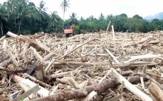 Gelondongan kayu yang terbawa arus banjir memperlihatkan indikasi kerusakan hutan di wilayah terdampak