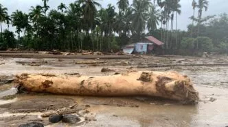 Kayu Gelondongan Sisa Banjir di Sumatra Bisa Dimanfaatkan Warga, Ini Penjelasan Mensesneg