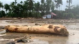 Kayu Gelondongan Sisa Banjir di Sumatra Bisa Dimanfaatkan Warga, Ini Penjelasan Mensesneg