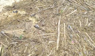 Kemenhut Ungkap 12 Perusahaan Diduga Berperan dalam Kerusakan Hutan