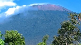 Memanasnya Konflik Gunung Slamet Perhutani Ambil Langkah Tegas Setop Penggarapan Liar