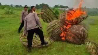 Polisi Musnahkan Arena Judi Sabung Ayam di Mojokerto Usai Terima Laporan Warga