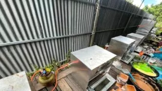 Satpol PP Pontianak Amankan Pelaku Usaha Kue Lapis yang Gunakan 57 Tabung Gas Bersubsidi