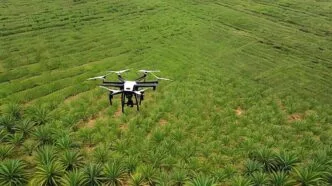 Drone pemetaan lahan sawit
