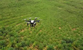 Drone pemetaan lahan sawit