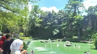 Kunjungan ke ragunan melonjak