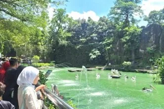 Kunjungan ke ragunan melonjak