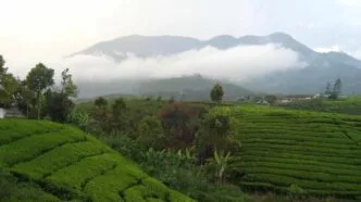 Status Gunung Talang naik level II waspada