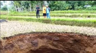 Fenomena Alam Gegerkan Limapuluh Kota, Lubang Raksasa Sedalam 20 Meter Muncul di Sawah Warga