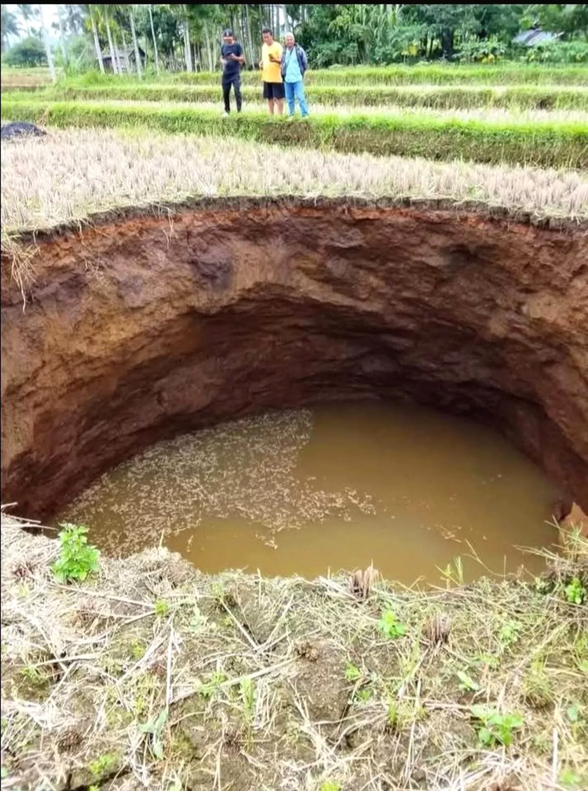 Tiba-tiba Amblas! Lubang Raksasa Muncul di Tengah Lahan Pertanian Warga Kabupaten Limapuluh Kota, Sumatera Barat Fenomena Alam Gegerkan Limapuluh Kota, Lubang Raksasa Sedalam 20 Meter Muncul di Sawah Warga
