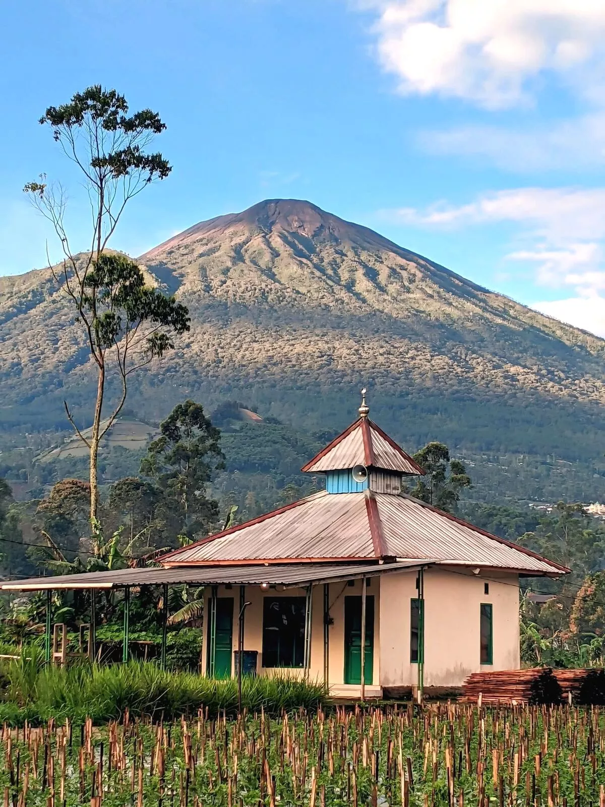 Cuaca Ekstrem, Seluruh Jalur Pendakian Gunung Slamet Ditutup Sementara Semua Jalur Pendakian Gunung Slamet Ditutup Akibat Cuaca Ekstrem