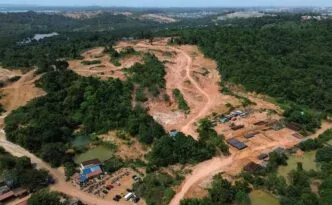 Hutan lindung tanjung kasam batam keulauan riau gundul hampir 20 hektar