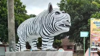 Patung macan putih lucu viral