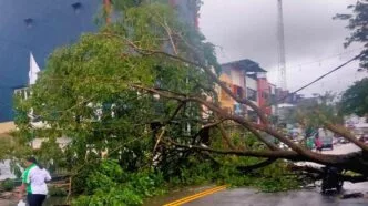 Penyebab angin kencang yang melanda jawa tengah dan jatim