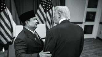 AS Kenakan Tarif 104 untuk Panel Surya RI, Ekspor Terancam Terpukul