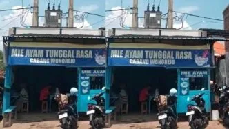 Tak Pernah Dapat Kompensasi, Warga Pasuruan Justru Diminta Bayar Rp28 Juta untuk Pindah Tiang Listrik Kasus Tiang Listrik di Lahan Warga Pasuruan Viral, Biaya Pemindahan Capai Rp28 Juta